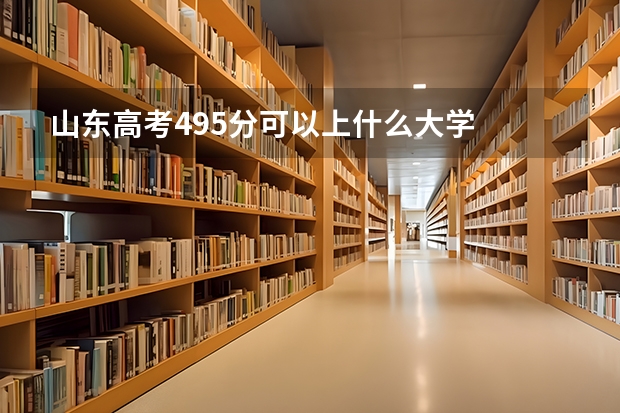 山东高考495分可以上什么大学