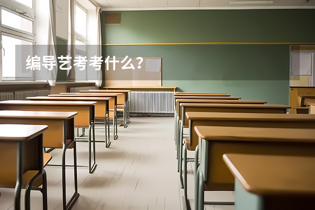 编导艺考考什么？
