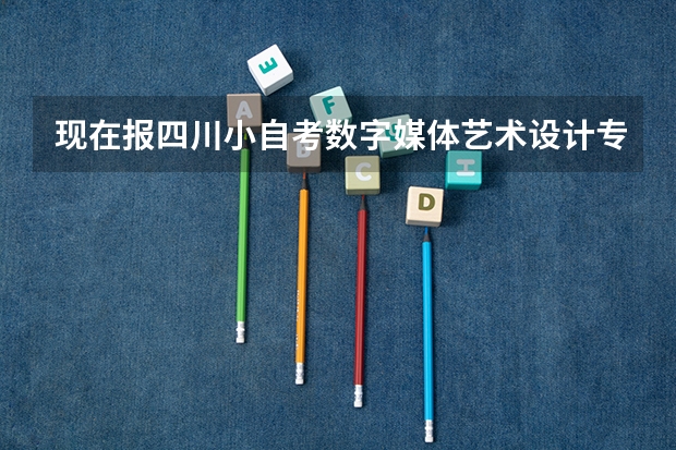 现在报四川小自考数字媒体艺术设计专科，2024年10月统考考试安排（2024四川高考艺术体育类专业报名时间）