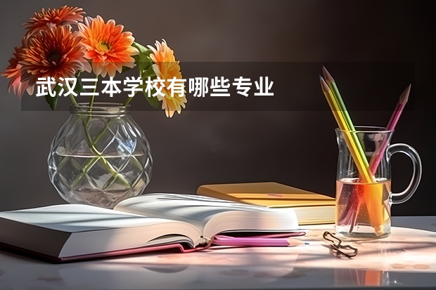 武汉三本学校有哪些专业