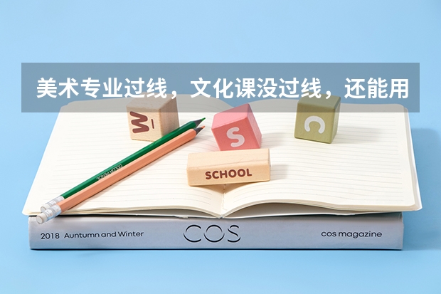 美术专业过线，文化课没过线，还能用综合分吗
