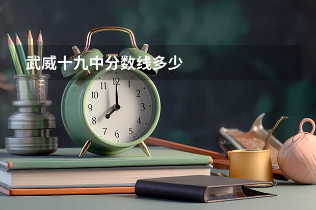 武威十九中分数线多少