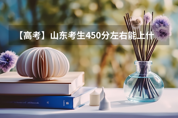 【高考】山东考生450分左右能上什么学院 ？