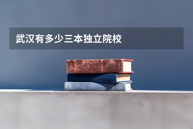 武汉有多少三本独立院校