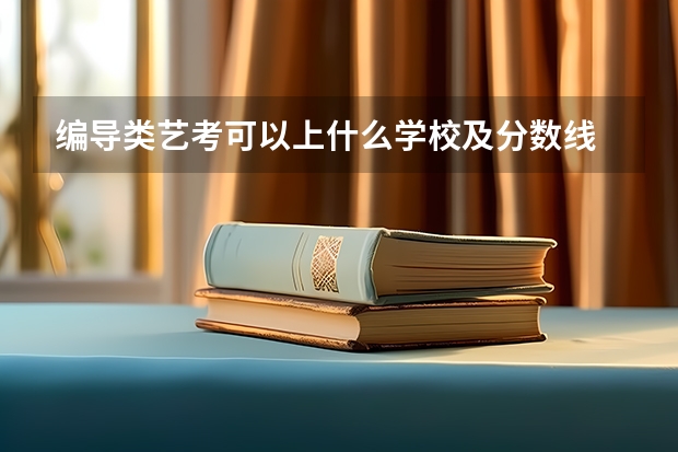 编导类艺考可以上什么学校及分数线