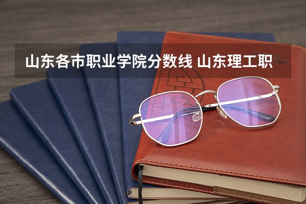 山东各市职业学院分数线 山东理工职业学院录取分数线？