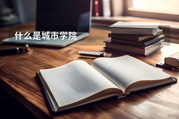 什么是城市学院