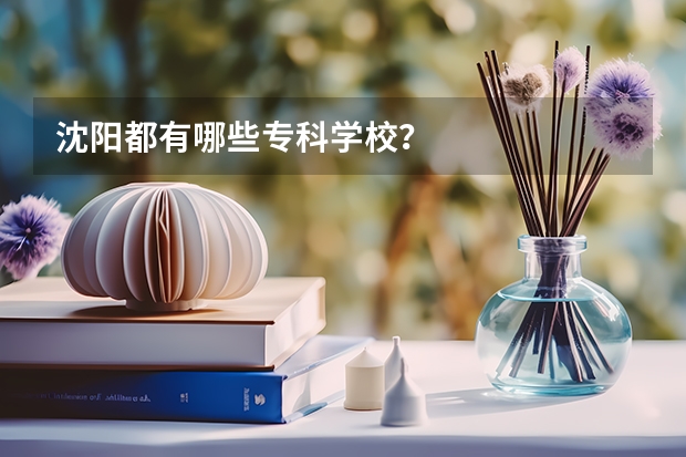 沈阳都有哪些专科学校？