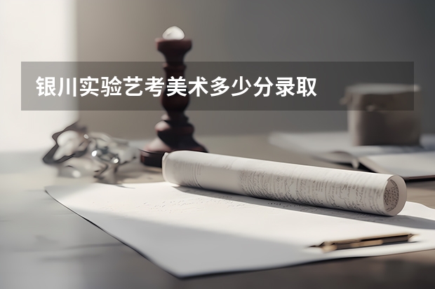 银川实验艺考美术多少分录取