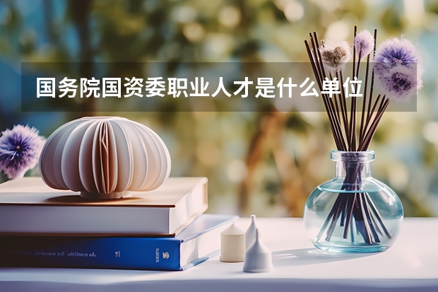 国务院国资委职业人才是什么单位