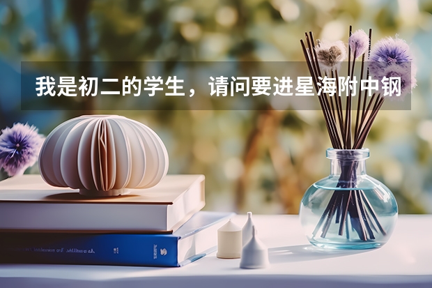 我是初二的学生，请问要进星海附中钢琴最低要多少级