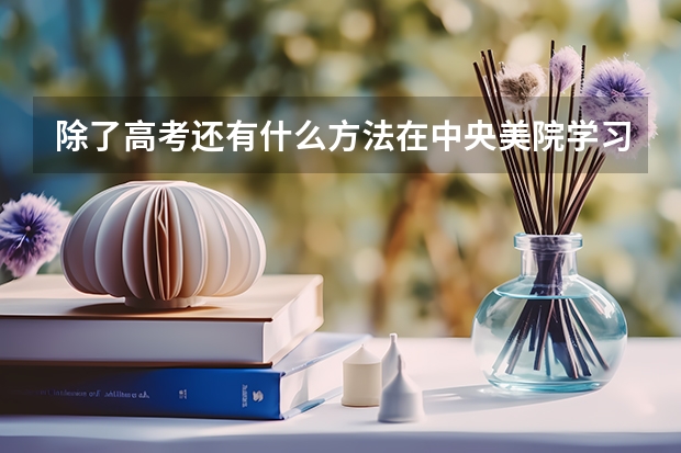 除了高考还有什么方法在中央美院学习?