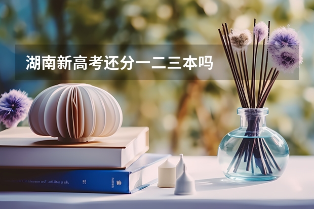 湖南新高考还分一二三本吗