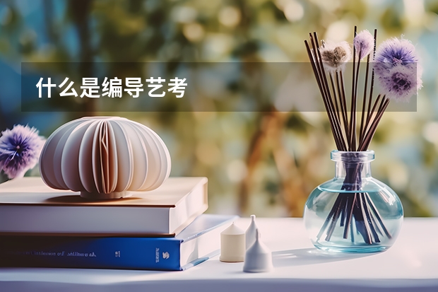 什么是编导艺考