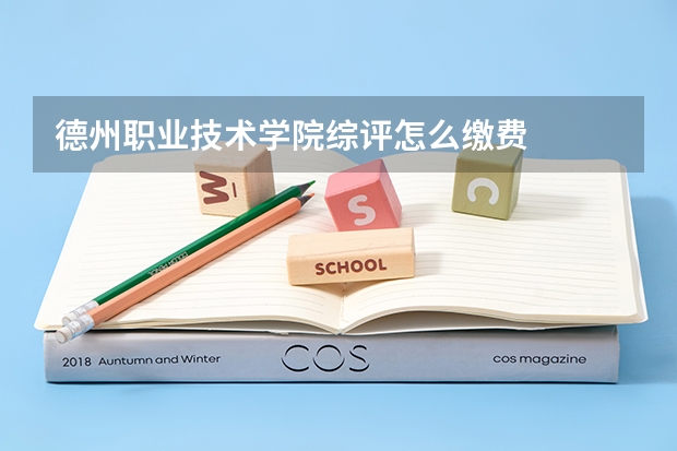 德州职业技术学院综评怎么缴费