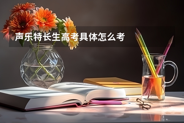 声乐特长生高考具体怎么考