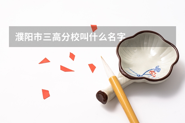 濮阳市三高分校叫什么名字
