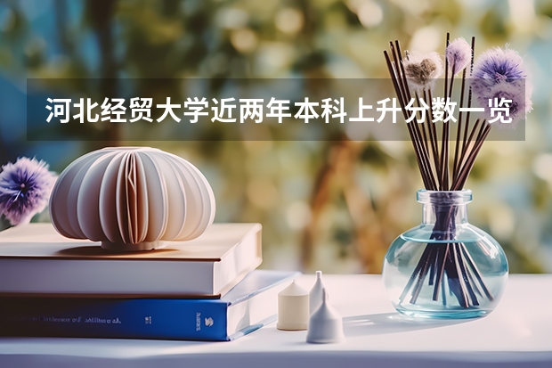 河北经贸大学近两年本科上升分数一览表