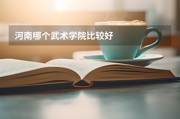 河南哪个武术学院比较好