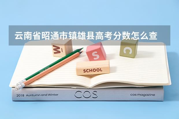 云南省昭通市镇雄县高考分数怎么查
