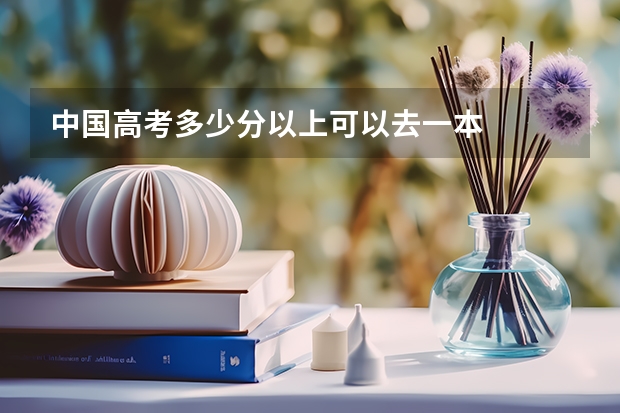 中国高考多少分以上可以去一本