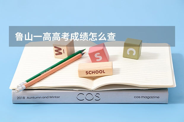 鲁山一高高考成绩怎么查