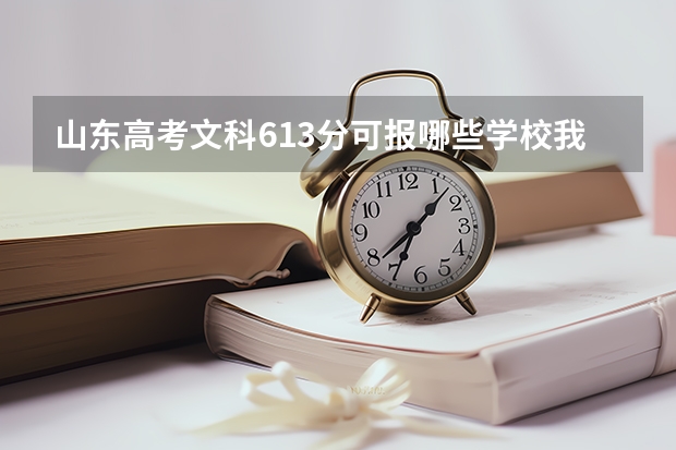 山东高考文科613分可报哪些学校我想学经济学，这个分报哪些学校可