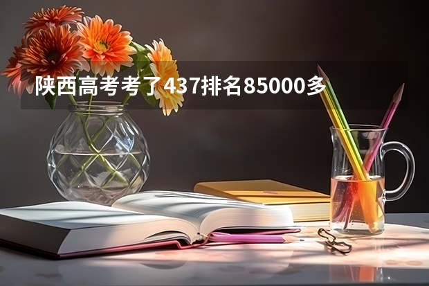 陕西高考考了437排名85000多，这样的成绩能上什么好二本