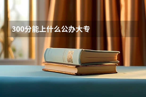 300分能上什么公办大专