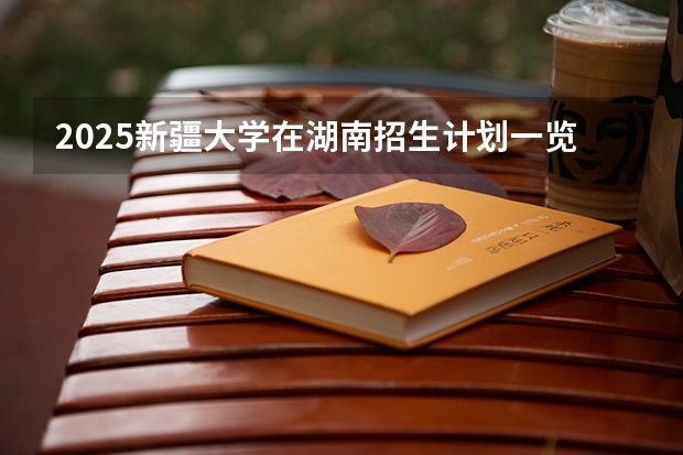 2025新疆大学在湖南招生计划一览表