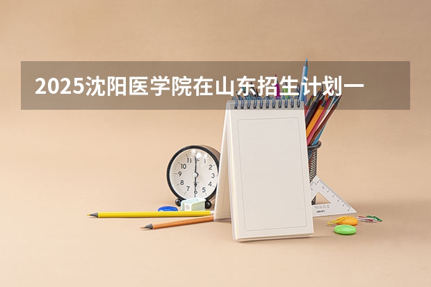 2025沈阳医学院在山东招生计划一览表