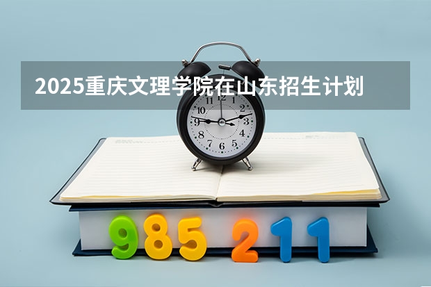 2025重庆文理学院在山东招生计划一览表