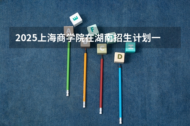 2025上海商学院在湖南招生计划一览表