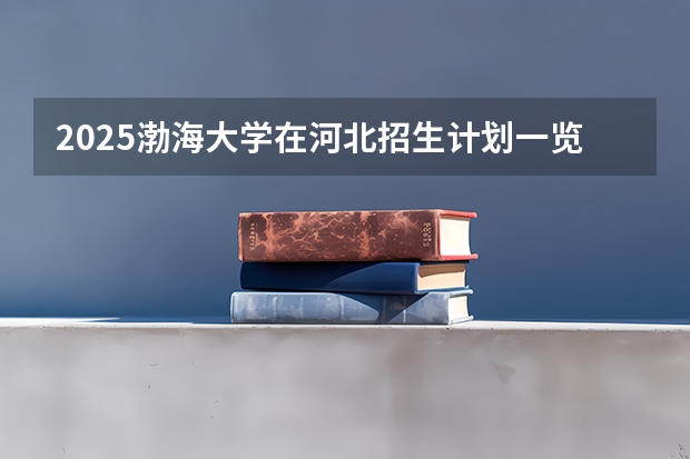 2025渤海大学在河北招生计划一览表