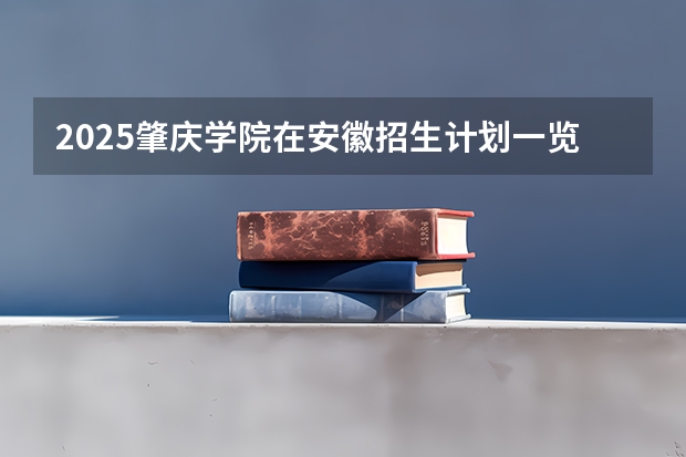 2025肇庆学院在安徽招生计划一览表