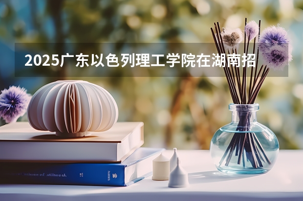 2025广东以色列理工学院在湖南招生计划一览表