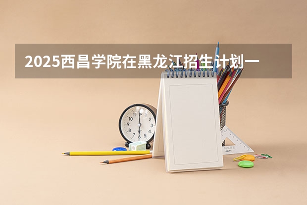 2025西昌学院在黑龙江招生计划一览表