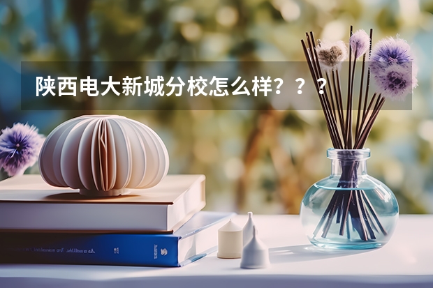 陕西电大新城分校怎么样？？？