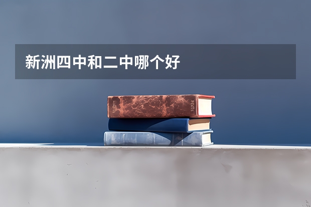 新洲四中和二中哪个好