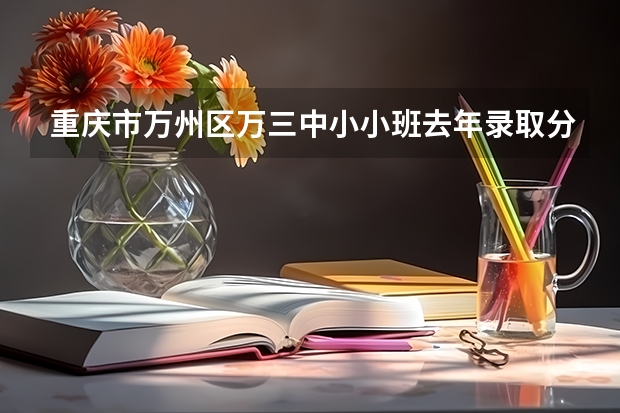 重庆市万州区万三中小小班去年录取分数线是多少?拜托了各位 谢谢
