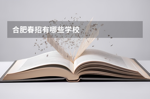 合肥春招有哪些学校