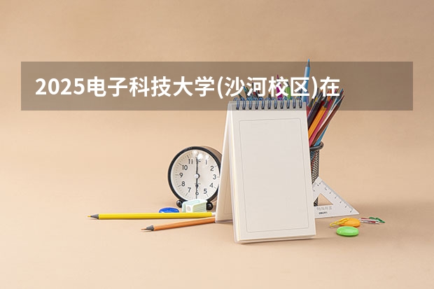 2025电子科技大学(沙河校区)在陕西招生计划一览表