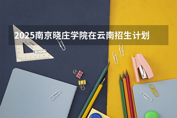 2025南京晓庄学院在云南招生计划完整版（专业+人数+学费）2026志愿填报参考