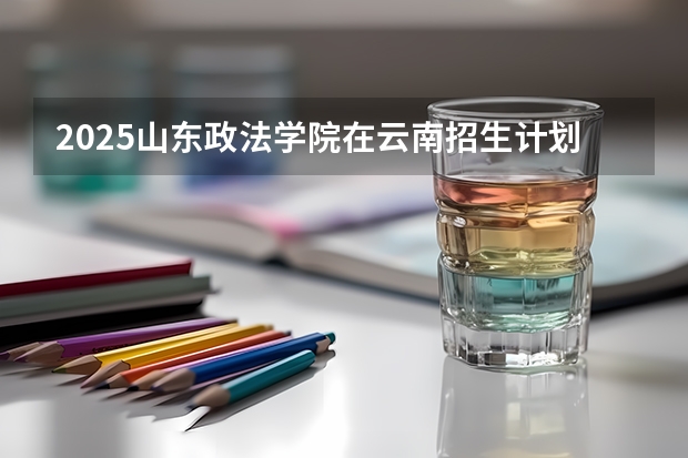2025山东政法学院在云南招生计划完整版（专业+人数+学费）2026志愿填报参考