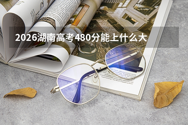 2026湖南高考480分能上什么大学？