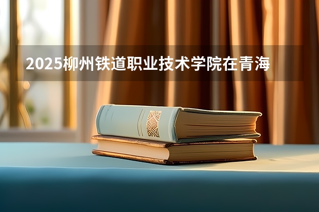 2025柳州铁道职业技术学院在青海招生计划完整版（专业+人数+学费）2026志愿填报参考