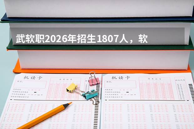 武软职2026年招生1807人，软件技术机电一体化技术中外合作办学特色