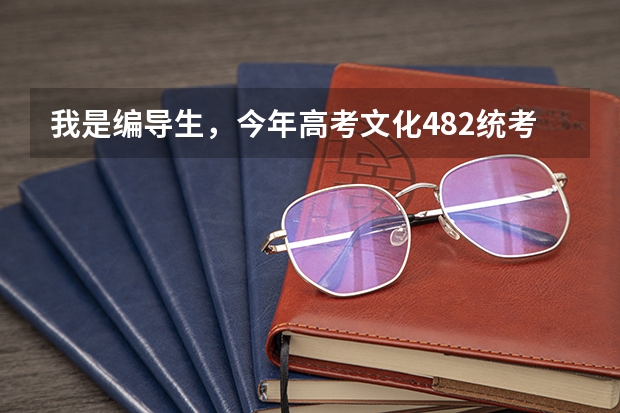 我是编导生，今年高考文化482统考专业202，想问一下如何填征集志愿录取几率才能更大