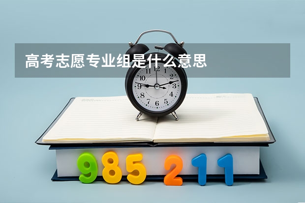 高考志愿专业组是什么意思