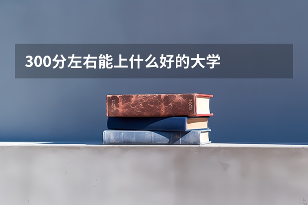 300分左右能上什么好的大学